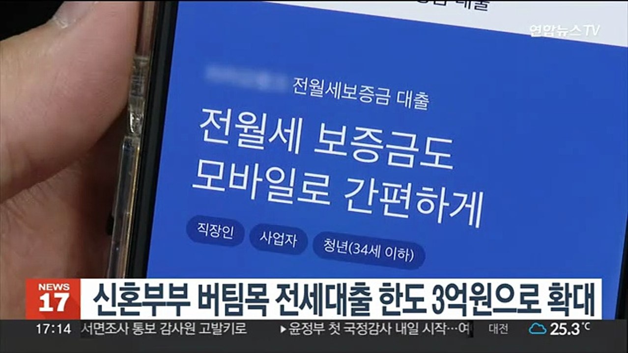 신혼부부 버팀목 전세대출 한도 3억원으로 확대