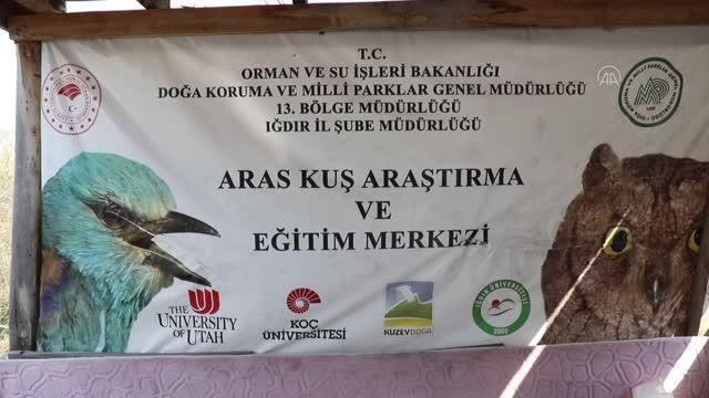 Aras Kuş Cenneti'nde halkalanan kuş sayısı 160 bini geçti