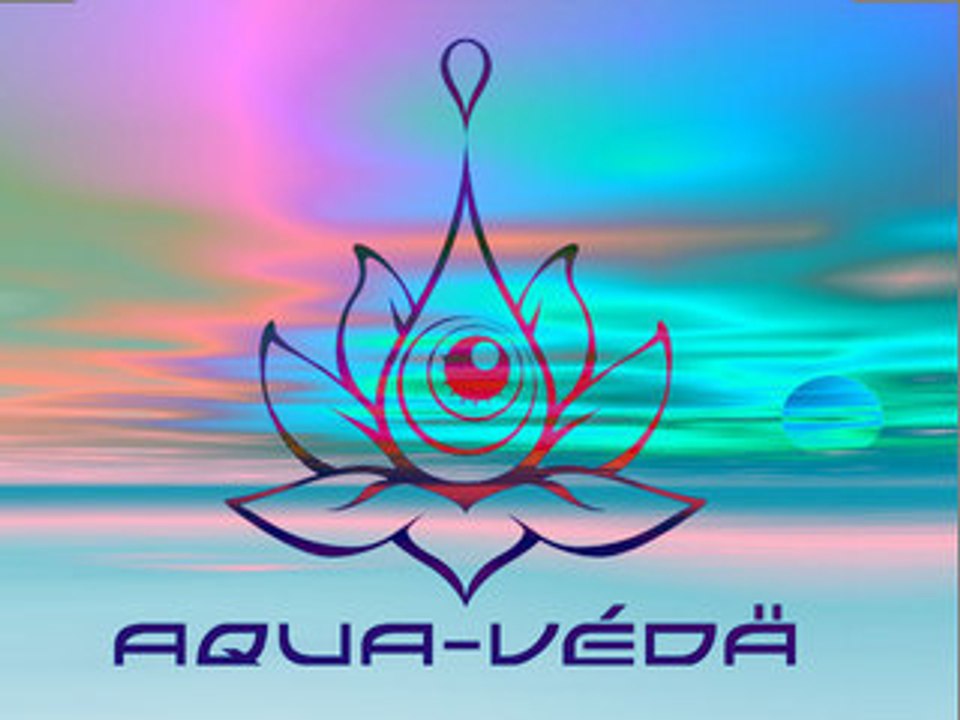 arcadia festival 2007 aqua-veda dance floor