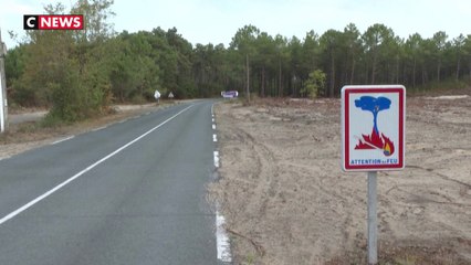 La Teste-de-Buch  : l'office national des forêts veut diversifier le reboisement