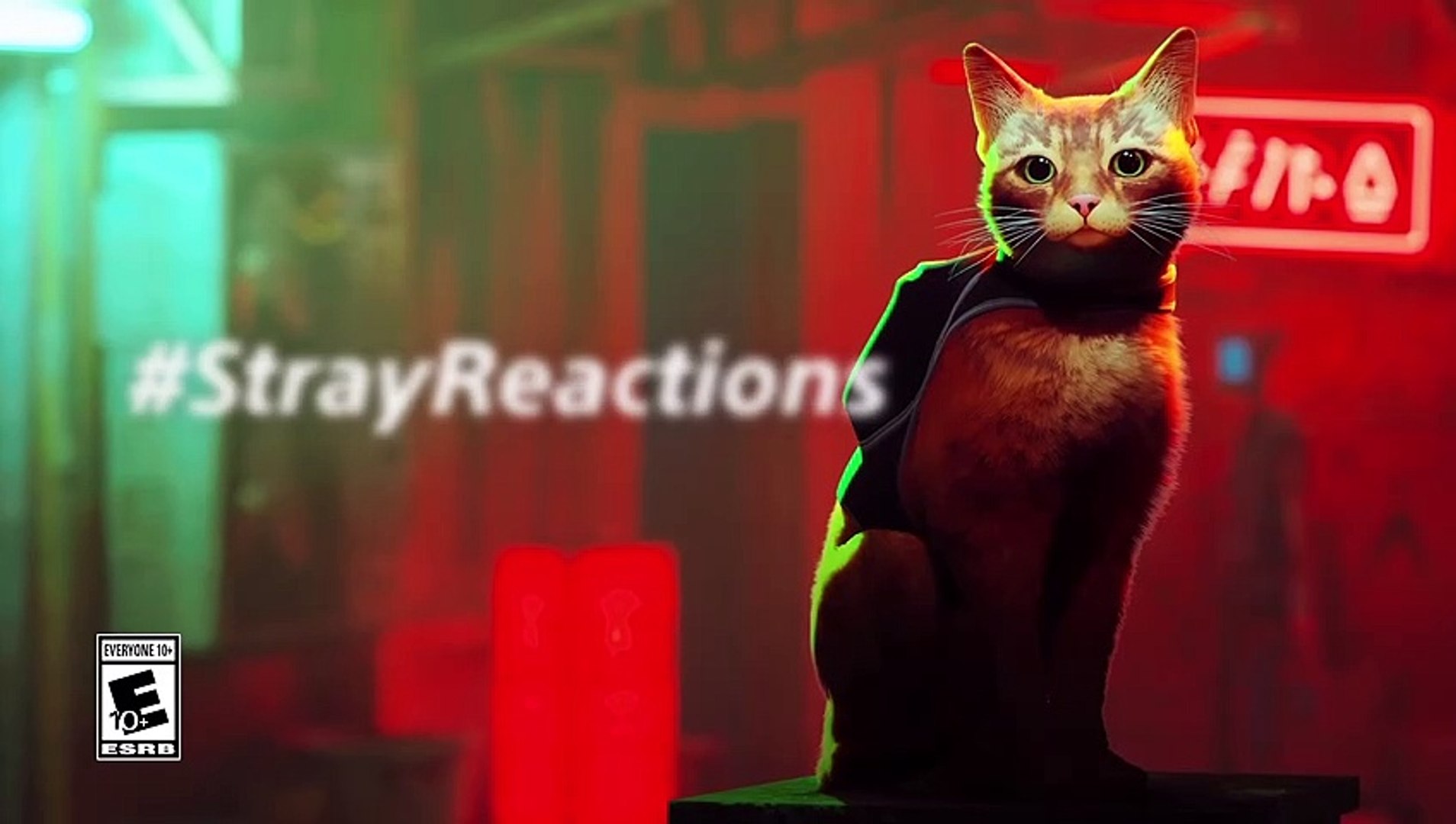 ⁣Stray Reactions   PS5 & PS4 Games