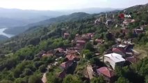 Bursa ekonomi haberleri | Bursa'daki köyü gören Karadeniz sanıyor...Yılda 60 ton fındık üretiyorlar