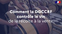 Comment la DGCCRF contrôle le vin de la récolte à la vente