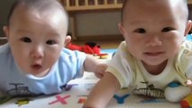 Best Videos Of Cute and Funny Twin Babies Compilation - Twins Baby video 1 || #funniestcutebaby