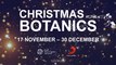 PREVIEW:  Christmas at the Botanics 2022