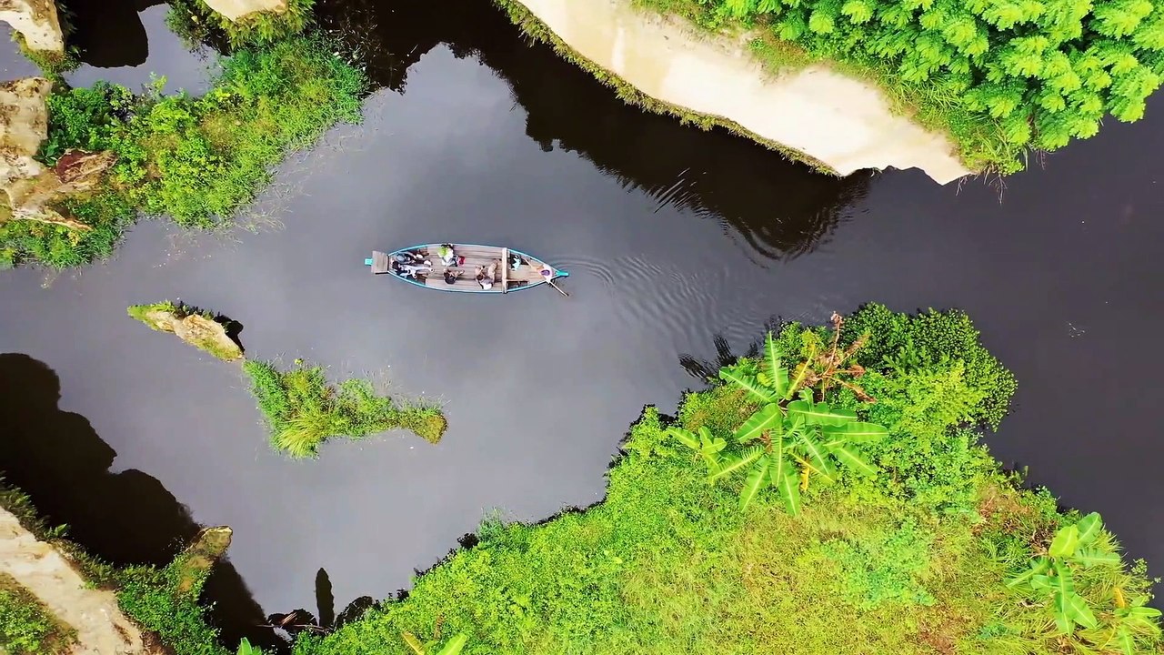 Nature Background Video No Copyright | Copyright Free Nature Videos | Free Nature Stock Video