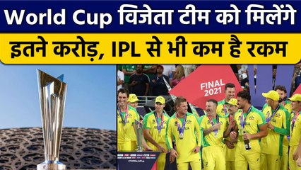 T20 WC: Winner को मिलेंगे इतने करोड़, IPL विजेता से भी कम, जानें पूरी डिटेल |वनइंडिया हिंदी*Cricket