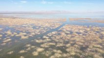 Konya haberleri: Akşehir Gölü'ndeki kuraklığın etkileri alınacak tedbirlerle azaltılabilir