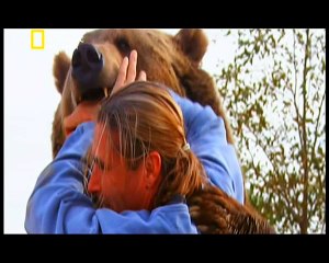 ماقبل الكارثة | مأساة دب هوليوود القاتل