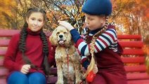 10 Best Dog Breeds For Children