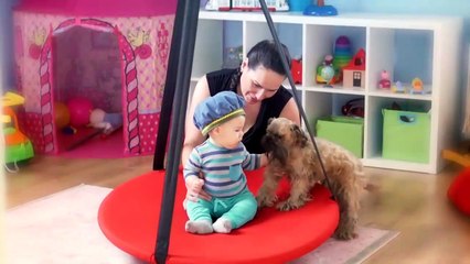 10 Dog Breeds That Are Good With Babies