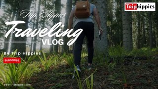 Trip Hippies Traveling Vlog | Traveling Is a Part of Life