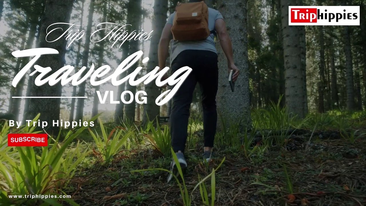 Trip Hippies Traveling Vlog | Traveling Is a Part of Life