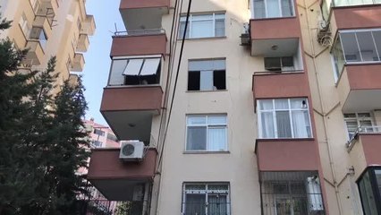 Çöp evde bulunan 5 kedi korumaya alındı