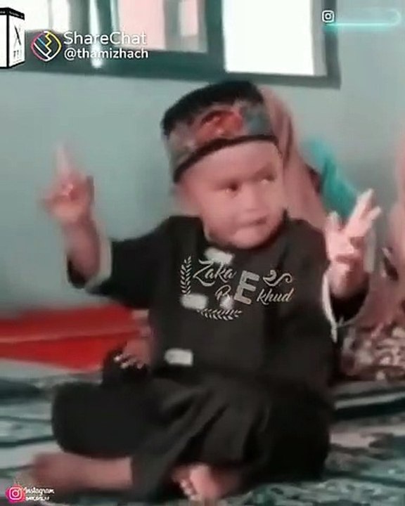Funny videos