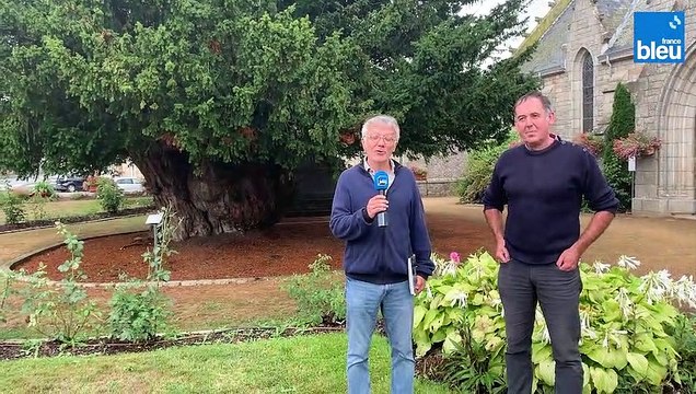 Curieux de Nature et les arbres remarquables des Côtes d'Armor à Pommerit-le-Vicomte