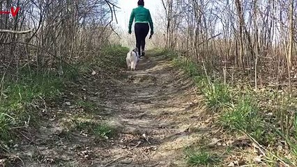 Research Identifies Dogs Ability to Super-Sniff Stress