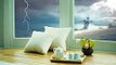 Rain sounds 2022 The Sound of Rain to Relaxed for  Deep Sleep  How to relaxed and sleep fast.