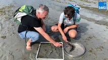 Curieux de Nature dans la réserve naturelle de la Baie de Saint Brieuc