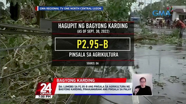 DA: lumobo sa P2.95-B Ang pinsala sa agrikultura ng Bagyong Karding; pinakamarami ang pinsala sa palay | 24 Oras
