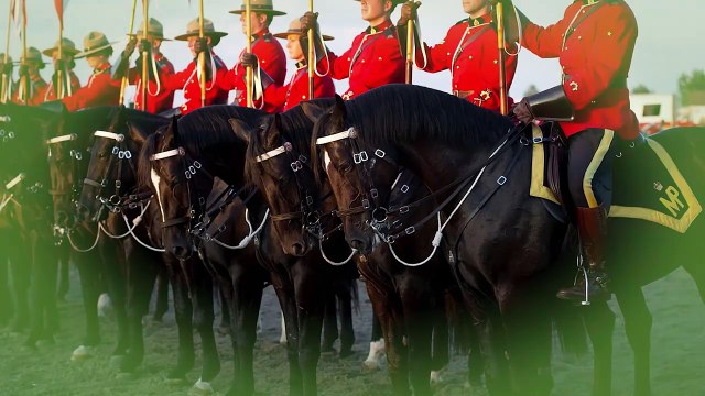 Canadians Were Ruthless With Canadian Eskimo Dogs!