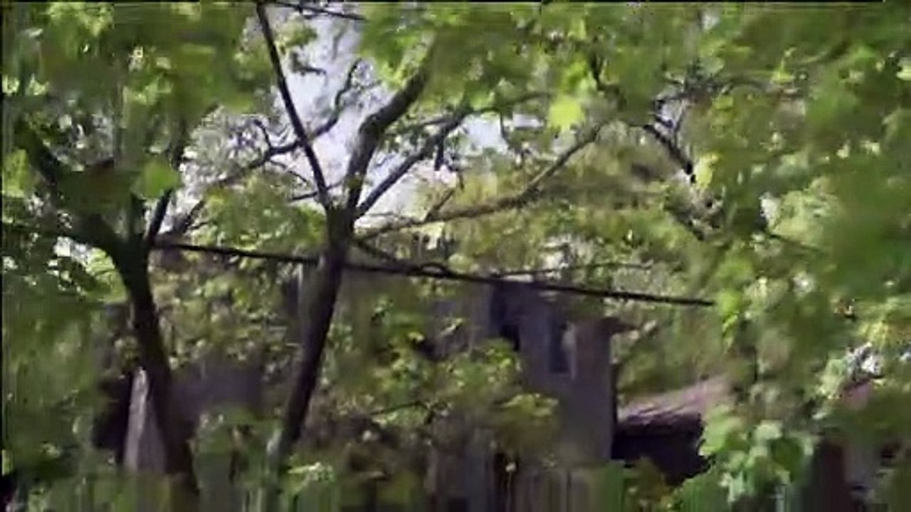 The Last Will and Testament of Rosalind Leigh Bande-annonce (EN)