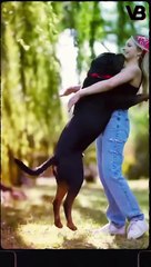 DOG BREEDS WITH SUPERPOWERS  #shorts