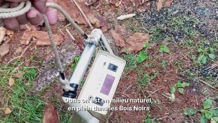 chemin-de-la-pierre-des-fees