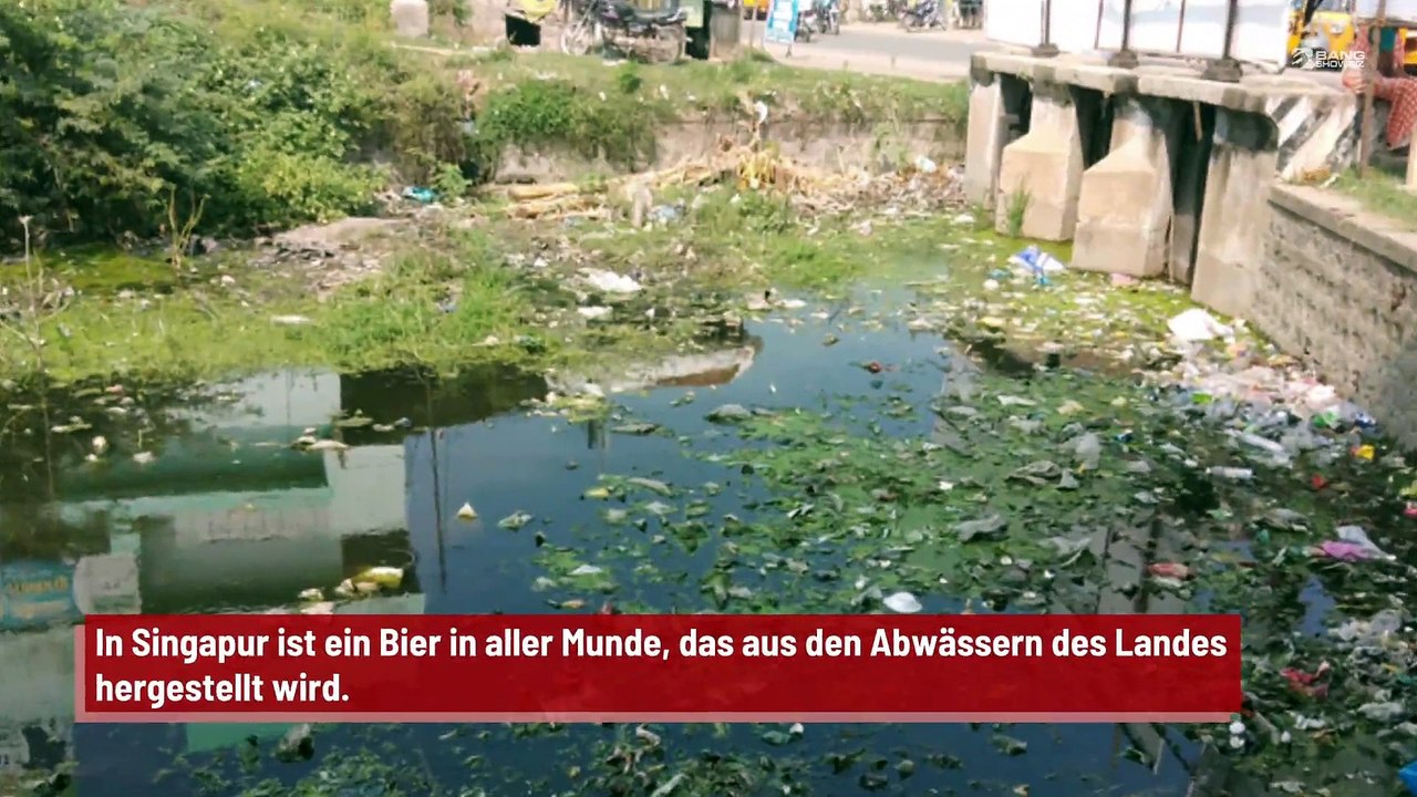 Singapur: Bier aus Abwässern sorgt für Aufsehen