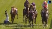 Sickening Moment Jockey Christophe Soumillon Pushes Rossa Ryan Off Horse at Saint-Cloud Racecourse