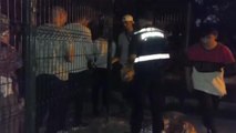 İzmir haberleri! İzmir'de 156 Kaçak Göçmen Yakalandı
