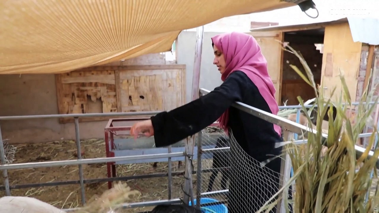 هدنة اليمن تشارف على نهايتها والسلام يبدو بعيد المنال