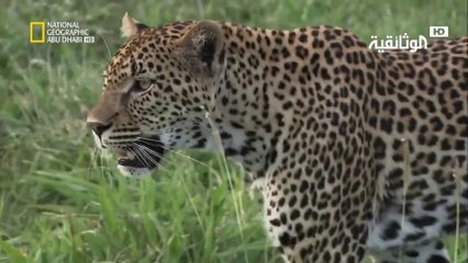 بالجرم المشهود | معارك ضارية