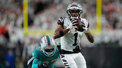 Bengals Take Care Of Dolphins At Home To Get To .500
