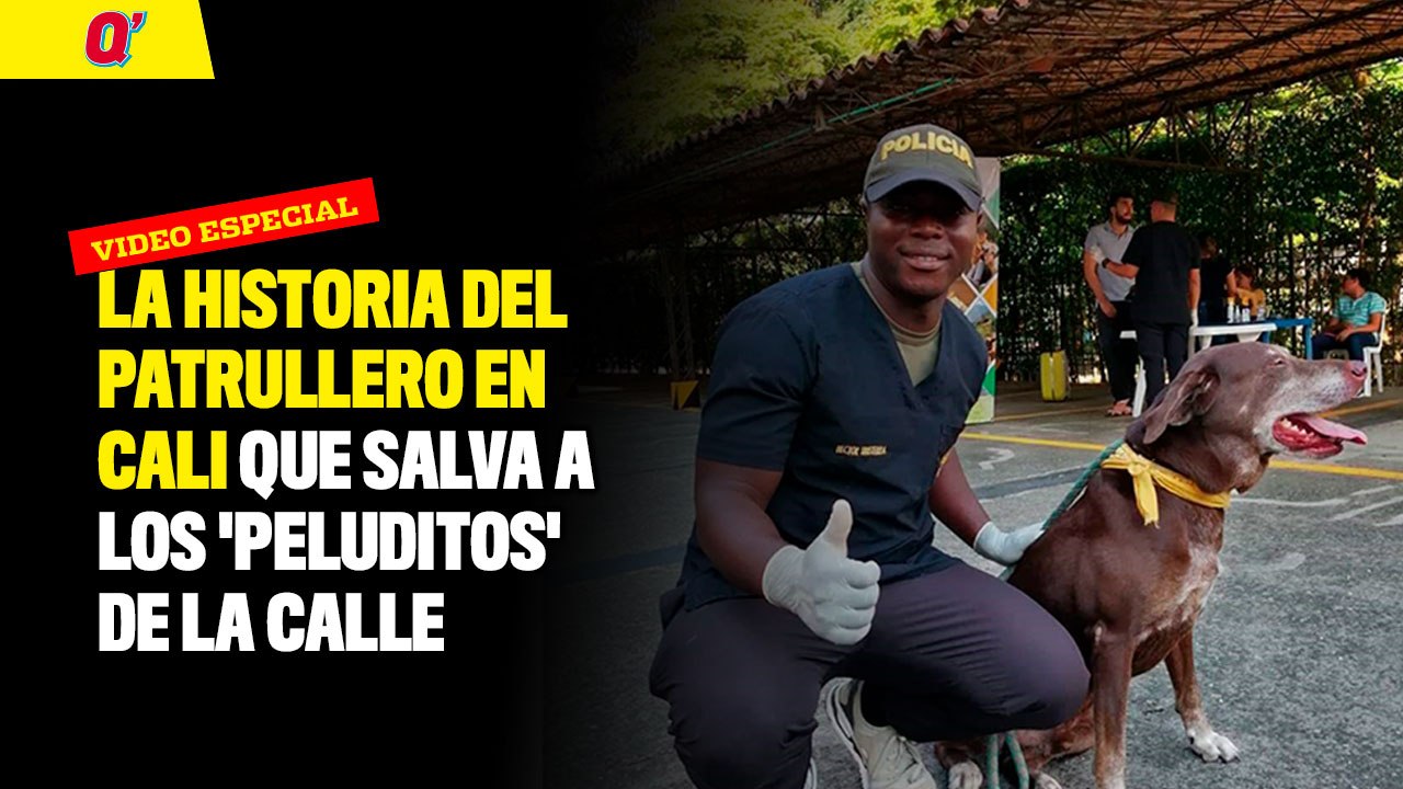 La historia del patrullero en Cali que salva a los 'peluditos' de la calle | Qhubo Cali
