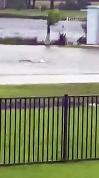 Uragano Ian: Sembra uno squalo! . Virale il video delle strade allagate in Florida
