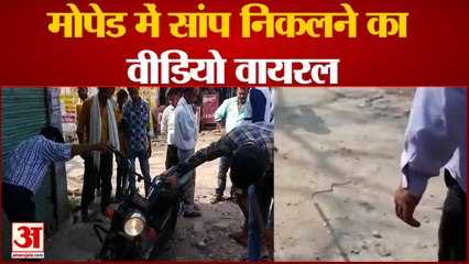 Auraiya News: मोपेड में सांप निकलने का वीडियो सोशल मीडिया पर वायरल | UP News