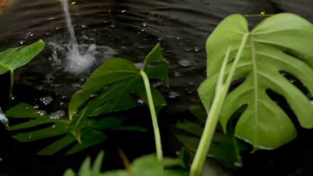 Rain Sound On Window With Thunder Sounds | Relaxing Heavy Rain For Study, Work, Sleep And Meditation