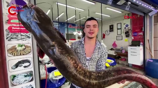 Barajda 1,5 metre boyunda 70 kilo ağırlığında yayın balığı yakaladı