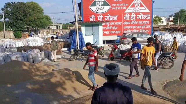 16 हजार बोरी बाजरे की आवक, अब 3 को खुलेगी मण्डी