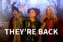 Disney+ | Hocus Pocus 2 - They're Back!