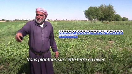 En Syrie, on boit l'eau polluée malgré le choléra