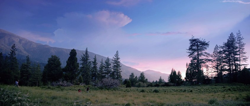 Manifest West Bande-annonce VO