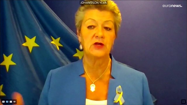 Еврокомиссия: Наличие действующей визы – недостаточное основание для пропуска в ЕС