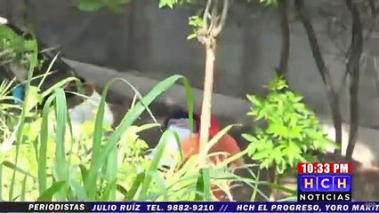 Violencia contra la mujer aumenta durante periodo de la pandemia