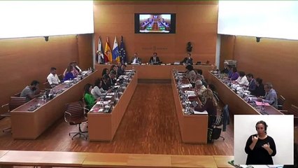Medidas del Cabildo de Tenerife para recuperar el mercado nórdico