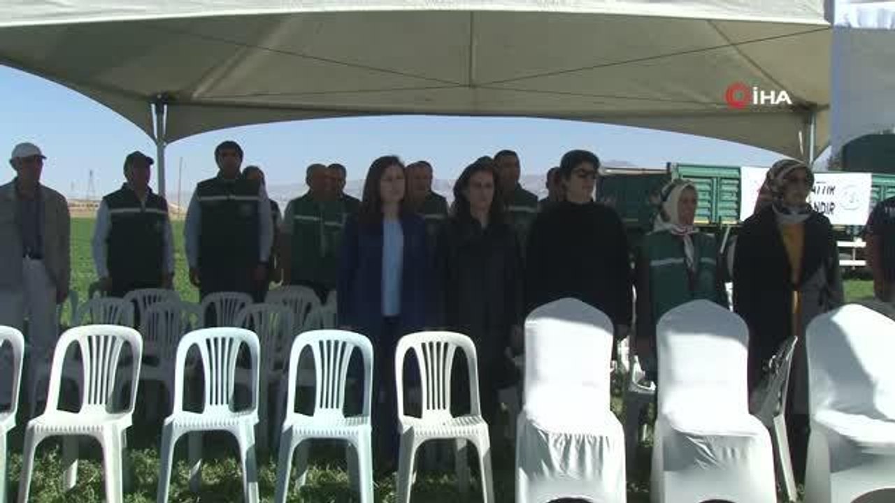 Erzurum gündem haberleri... Erzurum'da Daphan Ovası 2022 hasat festivali yapıldı