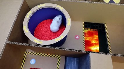 Hamster Escapes the Awesome 5-Star Luxury Prison Maze with Bathtub for Pets in real life