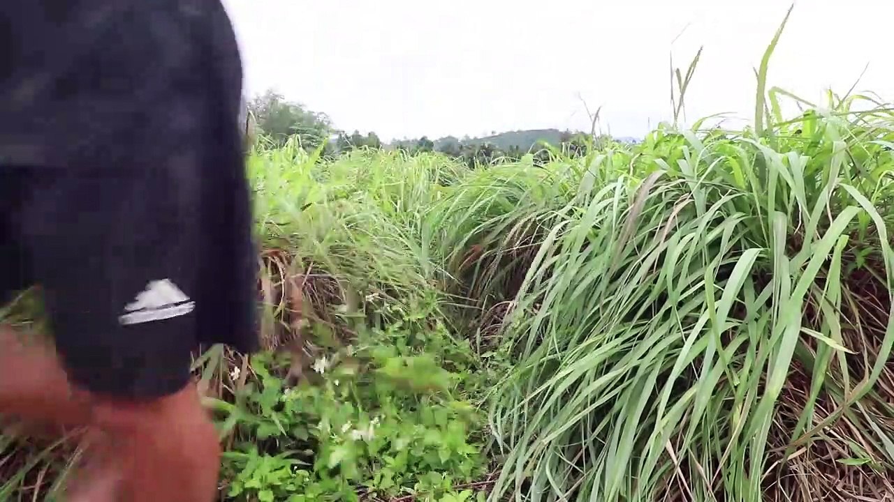 Building Temple Underground House Water Slide To Tunnel Underground Swimming Pools For hiding