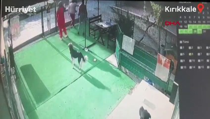 Kırıkkale'de veteriner kliniğine saldırı kamerada